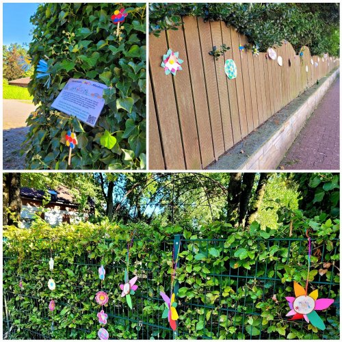  | Blumen an Hecken und Zäunen, z. B. unten am Spielplatz der Kita St. Johannes, Kirchstraße